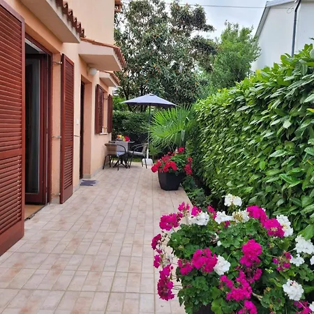 Appartement Mica